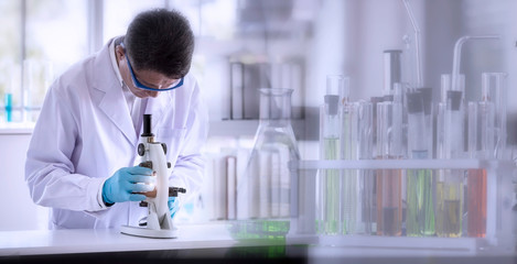 Wall Mural - laboratory concept: scientist researching by microscopy technique with blurred picture of glassware 