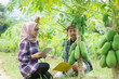 © SVRSLYIMAGES - portrait of two young farmer's checking the quality of the papaya plant at the farm land
