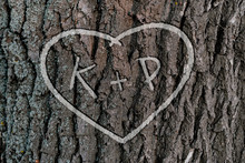 The Names Of Peopel Who Love Each Other In The Shape Of Heart Carved On The Tree