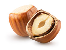 Whole Hazelnut With Hazelnut In Broken Shell Isolated On A White Background