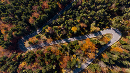 Poster - Curvy Winding Road Trough Woodland at Fall Foliage Season. top Down Drone View