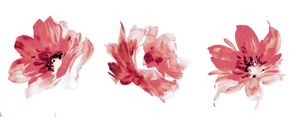 flowers watercolor illustration.manual composition.big set watercolor elements.