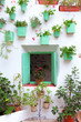Fachada de patio andaluz con ventana de madera decorada con macetas y plantas colgadas. Córdoba, Andalucía, España. Viajes y turismo.