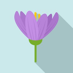 Poster - Crocus icon. Flat illustration of crocus vector icon for web design