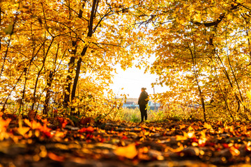 autumn landscape in the park in sunny weather