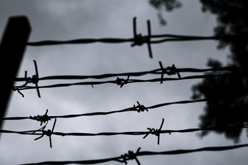 Barbed wire against the gray sky. Barbed wire and gray sky on a dark cloudy day. Silhouette of barbed wire with cloudy sky in the background