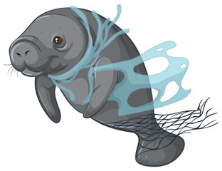 Sticker - Manatee with plastic net on white background