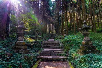 Wall Mural - shrine in the forest, Aso, Kumamoto