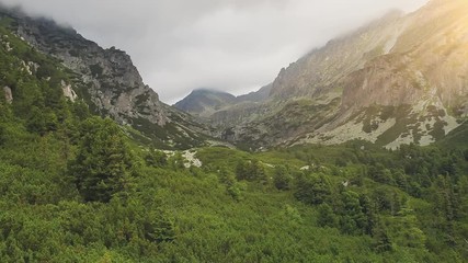 Wall Mural - Mountain Forest Valley Cloudy Sky in Summer Season. Drone View of Pine Woods on Slope. Slovakia Tatry Outdoor Green Nature Landscape. National Park Aerial Establishing Shot. Footage Shot Full HD