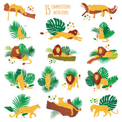 Aufkleber - Set of vector hand drawn flat compositions with lions and plants. Animal illustration. Summer tropical prints.