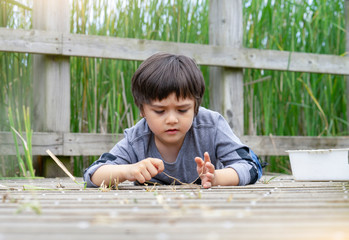 Outdoor portrait of little kid  lying on wooden bridge playing with old grass, Active child playing in wildlife park, Kid having adventure in nature reserve in sunny day summer