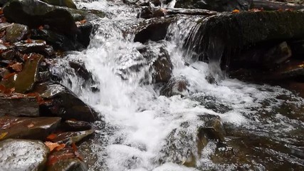 Wall Mural - Close-up of a waterfall in a autumn forest