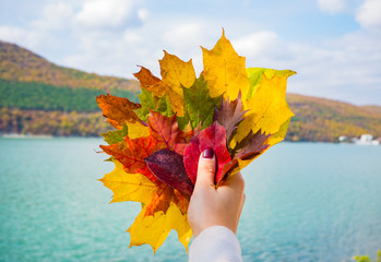 autumn leaves in hand on a background of the lake