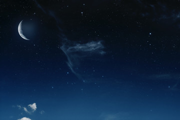 Wall Mural - big moon