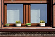 © Miguel Ángel RM - wooden window with blind decorated with flower pots