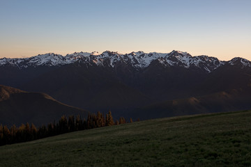 Wall Mural - Panoramic View of Hurricane Ridge, mountainous area in Olympic National Park, Washington. Pacific Northwest Mountains, Protected National Forest Area, Scenic Mountain View, Ridges and Peaks