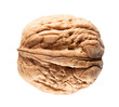 walnut in shell isolated on a white background