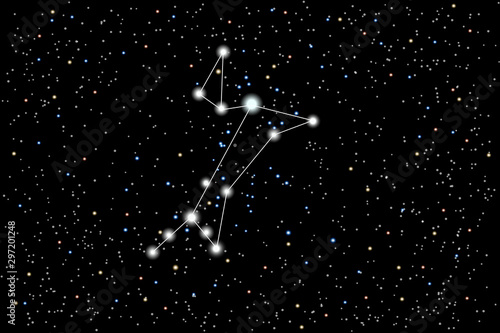 Fotomural Vector illustration of the constellation Great Dog on a starry black sky background