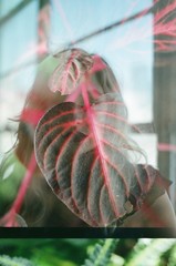 film double exposure portrait of a woman with leaves