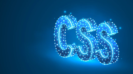 Wall Mural - css coding language, text silhouette. programming, theme development, site designing concept. abstra