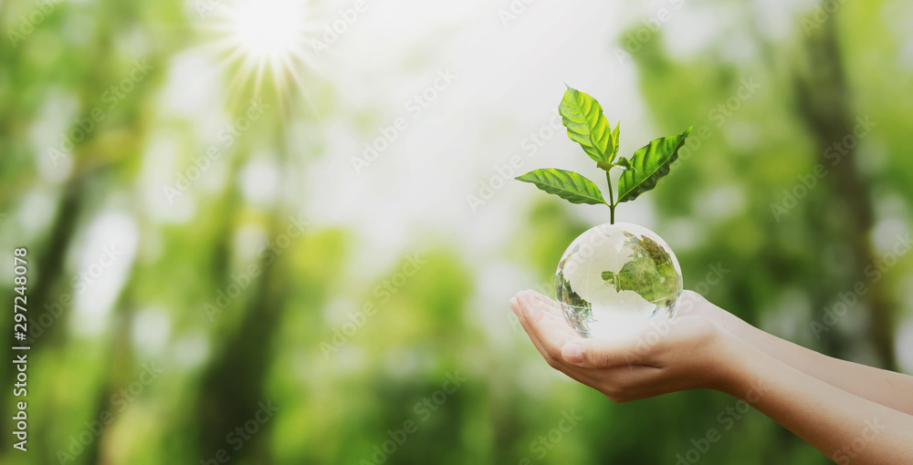 hand holding glass globe ball with tree growing and green nature blur background. eco concept - obrazy, fototapety, plakaty 