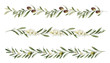 Watercolor vector set of borders of olive branches and flowers.