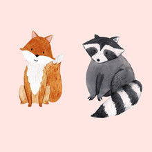 Cute Vector Watercolor Baby Raccoon And Fox Illustration For Children Print