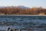 Fototapeta Na sufit - Autumn in Altai