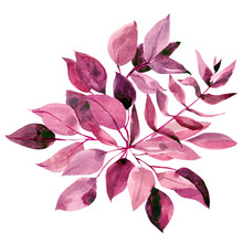 Burgundy And Pink Abstract Leaves Of Eucalyptus On An Isolated White Background, Autumn Clipart, Watercolor Painting, Hand Drawing
