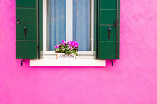 Window With Flowers And Green Shutters On The Pink Wall. Colorful Architecture In Burano Island, Venice, Italy.