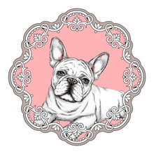 Charming French Bulldog In A Vintage Frame. Illustration Of A Dog In Retro Style. Image For Printing On Clothes.