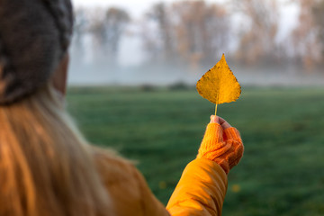 Wall Mural - Woman holding yellow leaf. Autumn misty morning at nature