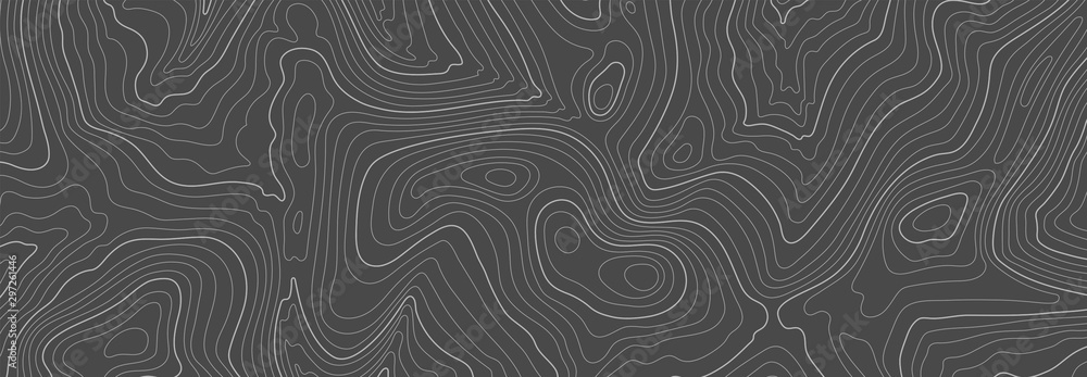 Gray topographic line contour map background, geographic grid map - obrazy, fototapety, plakaty 