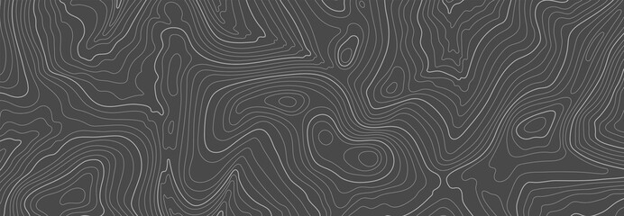 Wall Mural - gray topographic line contour map background, geographic grid map