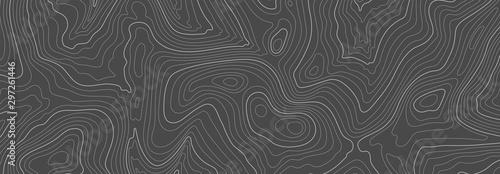 Fotografía Gray topographic line contour map background, geographic grid map