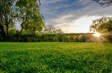 Sunset View Of A Large, Well Maintained Large Garden Seen In Early Summer, Showing The Distant Sun About To Set, Producing A Warm Light Just Before Dusk. The Grass Has Recently Been Cut.