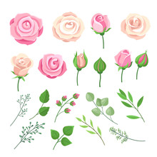 Rose Elements. Pink And White Roses Flowers With Green Leaves And Buds. Watercolor Floral Romantic Wedding Decor. Isolated Vector Set. Illustration Blooming Rose Blossom, Wedding Watercolor Twig
