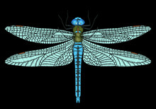 Cute Vector Embroidered Dragonfly For Fashion Design.