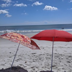 Two Beach Umbrellas