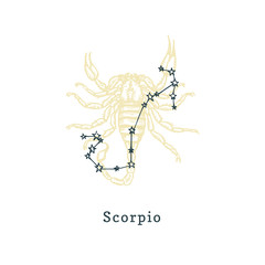 Wall Mural - Zodiacal constellation of Scorpion on background of drawn symbol in engraving style.Vector illustration of sign Scorpio.