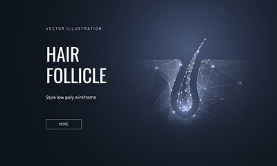 Hair follicle low poly landing page template