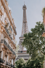 Wall Mural - paris eiffel tower in paris, france. eiffel tower is one of the most iconic landmarks in paris.
