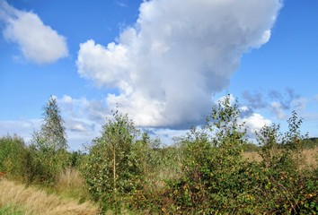 Clouds in beautiful autumn sky