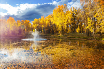 Wall Mural - Autumn park