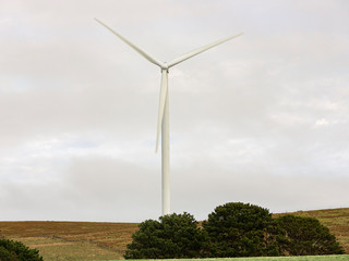 Wall Mural - a large wind turbine moving to create kinetic energy for renewable energy supply on a cloudy day loc