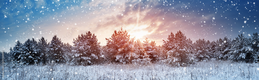 Pine trees in winter landscape at sunset - obrazy, fototapety, plakaty 