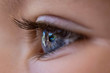 © minelflojor - Dans les yeux d'un enfant....!