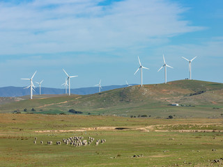 Wall Mural - an array of large wind turbines moving to create kinetic energy for renewable energy supply on a sun