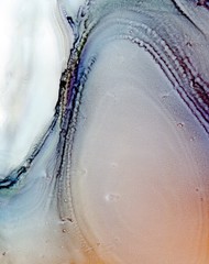  Abstract illustration in alcohol ink technique. Violet and orange marble texture. Wash drawing effect wallpaper. Modern illustration for card design, creative banners and ethereal graphic design.
