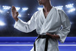 © fotokitas - Karate martial arts fighter in arena